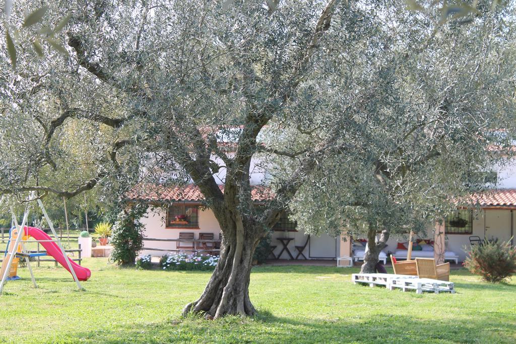 Penzion Borgo S.Maria Di Vulci Montalto di Castro Exteriér fotografie