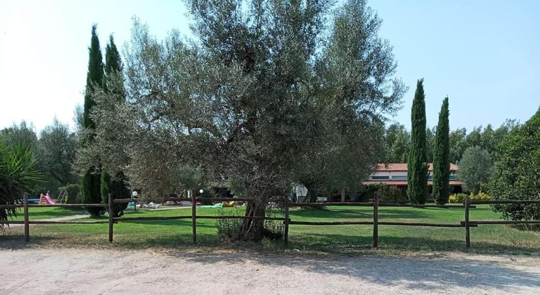 Penzion Borgo S.Maria Di Vulci Montalto di Castro Exteriér fotografie